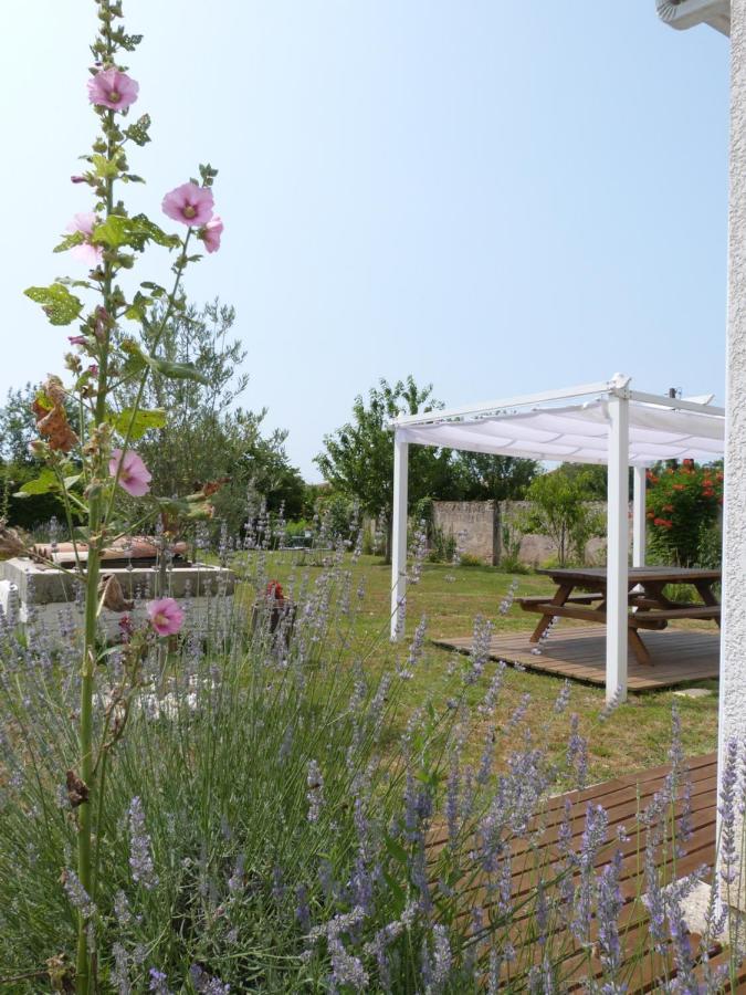 Gite Le Cherche Midi Gaillac Extérieur photo